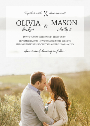 Transparent Wedding Overlay Transparent Wedding Overlay