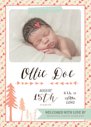 Baby Announcements by Bonnie Christine Baby Announcements by Bonnie Christine