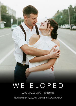 We Eloped We Eloped