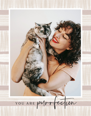 Purrfect Pet Cat Book Purrfect Pet Cat Book