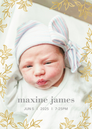 Delicate Leaf Frame Birth Announcement Delicate Leaf Frame Birth Announcement
