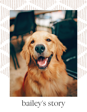 Our Story Pet Book Our Story Pet Book