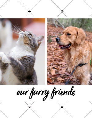 Sentimental Furry Friends Pet Book Sentimental Furry Friends Pet Book