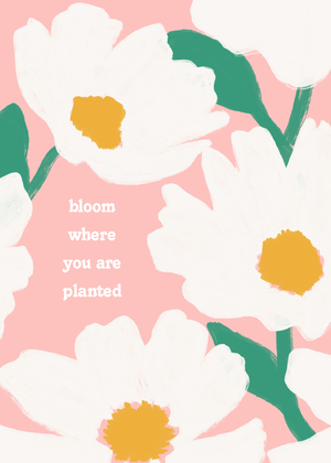 Bloom Where You Are Planted Bloom Where You Are Planted