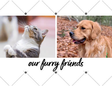 Sentimental Furry Friends Calendar Sentimental Furry Friends Calendar