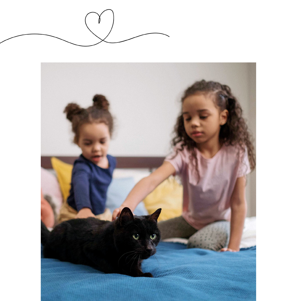 The Best Pet Photo Album Dog Photo Album