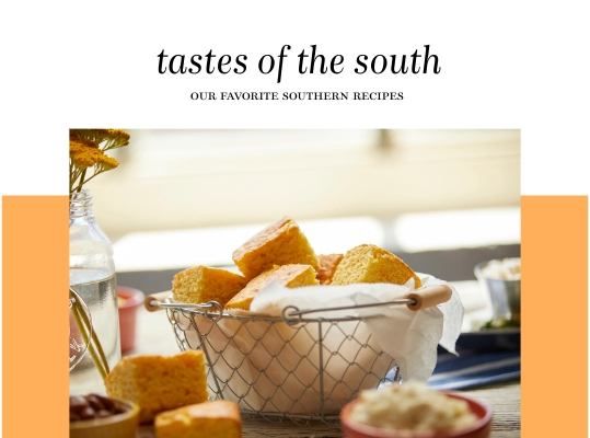 Tastes of the South Travelzoo Recipe Book Photo Book